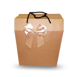 Caja Cartón Rectangular con Moño