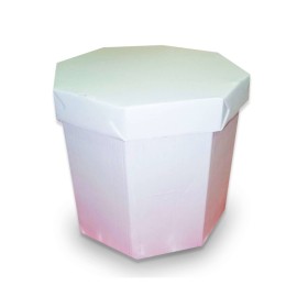 Caja de Cartón Octagonal