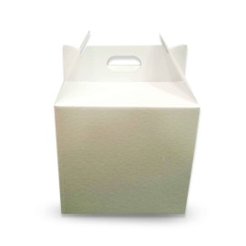 Caja Cartón Lonchera
